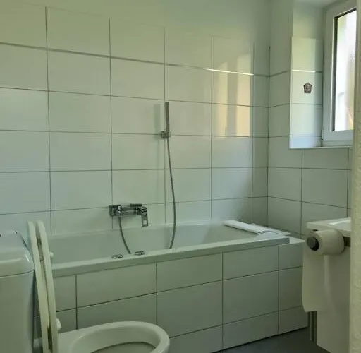 Gartenwohnung Im Zentrum Von Vira/gamborogno 아파트 *