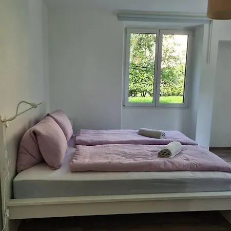 Gartenwohnung Im Zentrum Von Vira/gamborogno Gambarogno